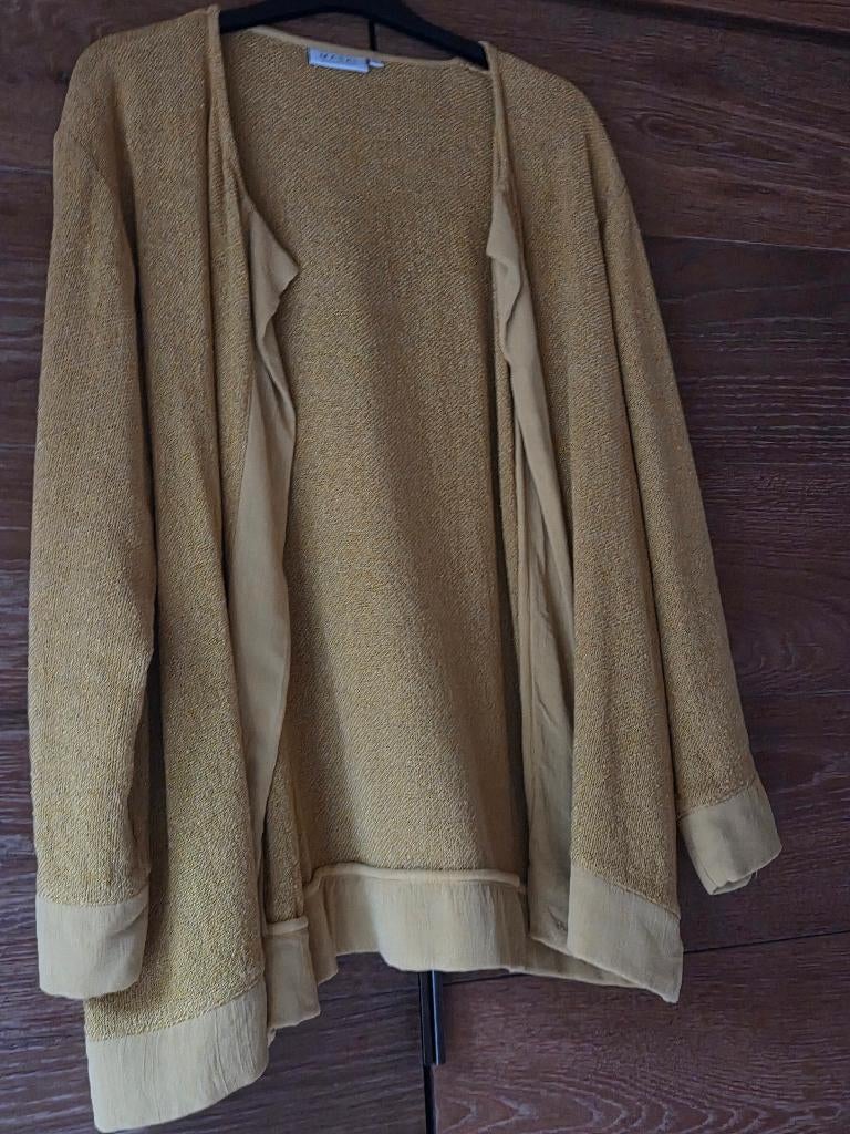 Kleding dames, Ophalen, Overige kleuren, Trui of Vest, Zo goed als nieuw