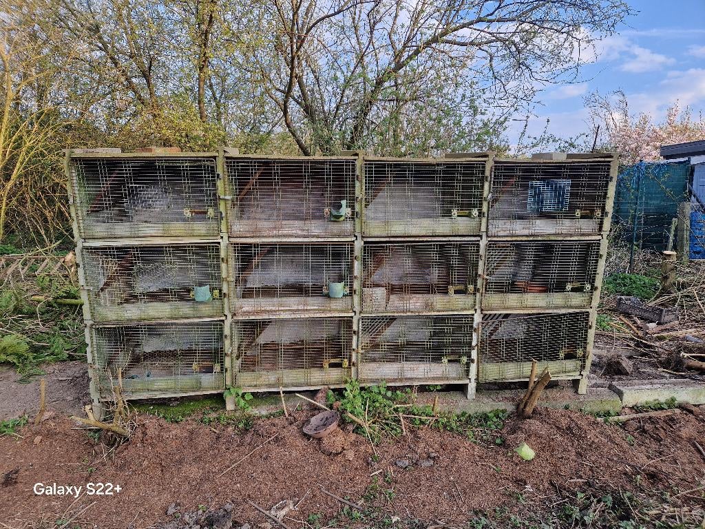 Clapiers béton, 75 à 110 cm, Cage, Enlèvement, Utilisé