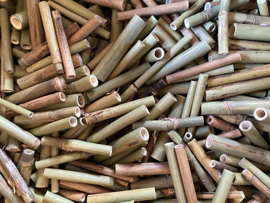 Bamboe voor bijenhotel/ insectenhotel - lengte 8 cm - 20 st., Tuin en Terras, Ophalen of Verzenden, Nieuw