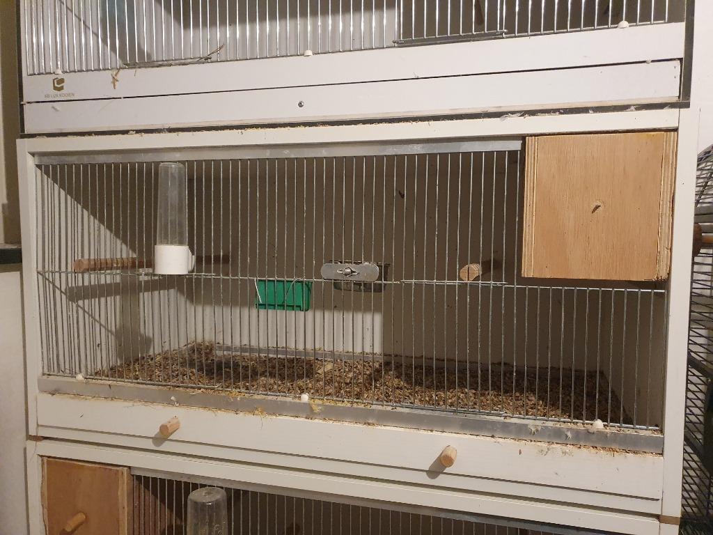 Kweekkooi, Ophalen, Gebruikt, Broedkooi of Kweekkooi