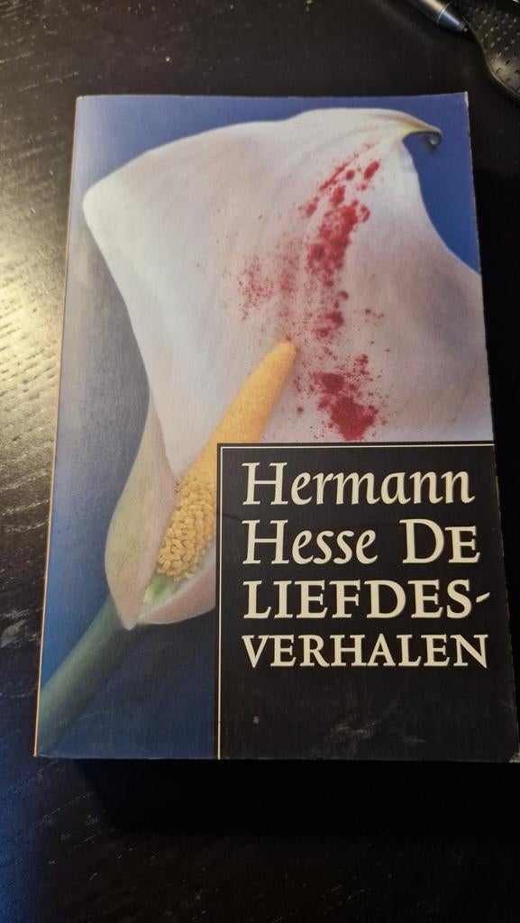 Hermann Hesse - De liefdesverhalen, Boeken, Ophalen of Verzenden, Zo goed als nieuw, Hermann Hesse
