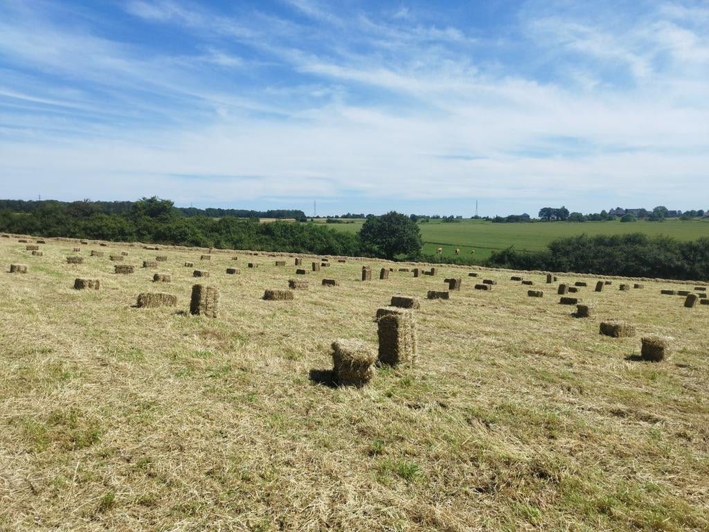 Petits ballots de foin 2025, Enlèvement
