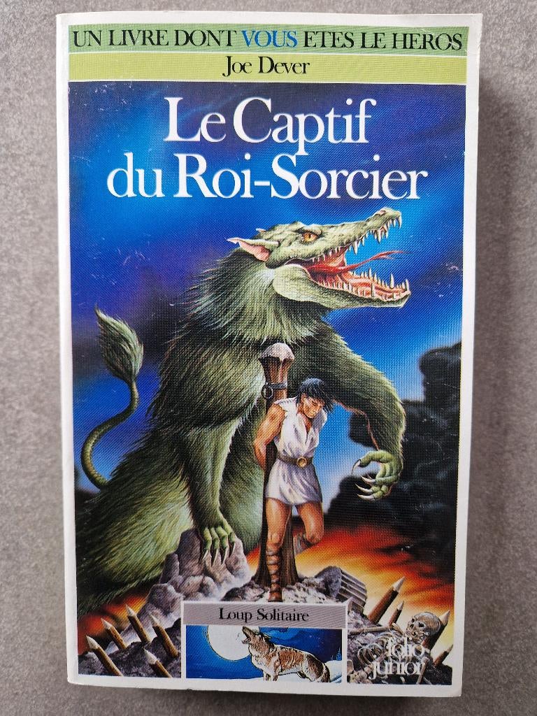 Ldvelh Loup Solitaire 16 Le Captif du Roi-Sorcier Héros, Boeken, Kinderboeken | Jeugd | 13 jaar en ouder, Gelezen, Fictie, Ophalen of Verzenden