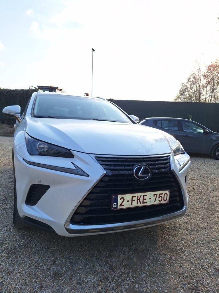 Lexus nx300h AWD hybride, Auto's, Lexus, Automaat, Trekhaak, 4 cilinders, 2000 kg