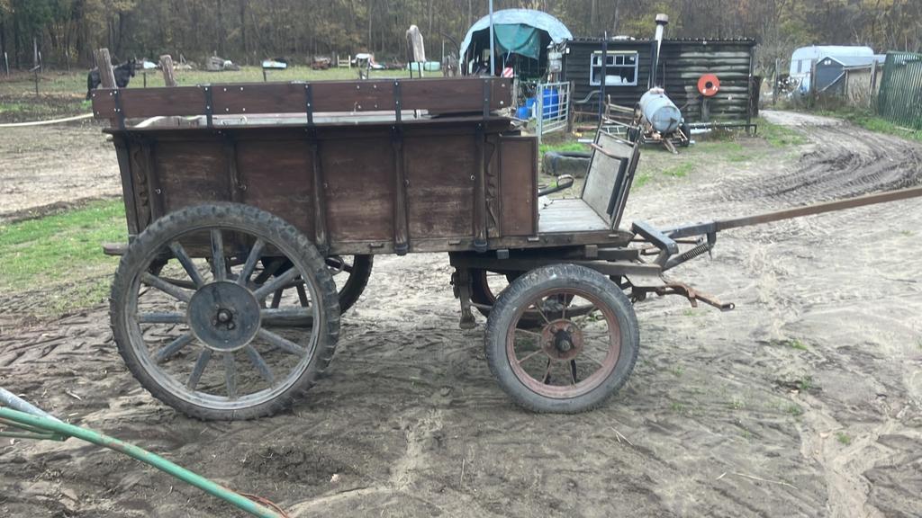 Koets,huifkar,,wagonette, Utilisé, Wagonette, Cheval