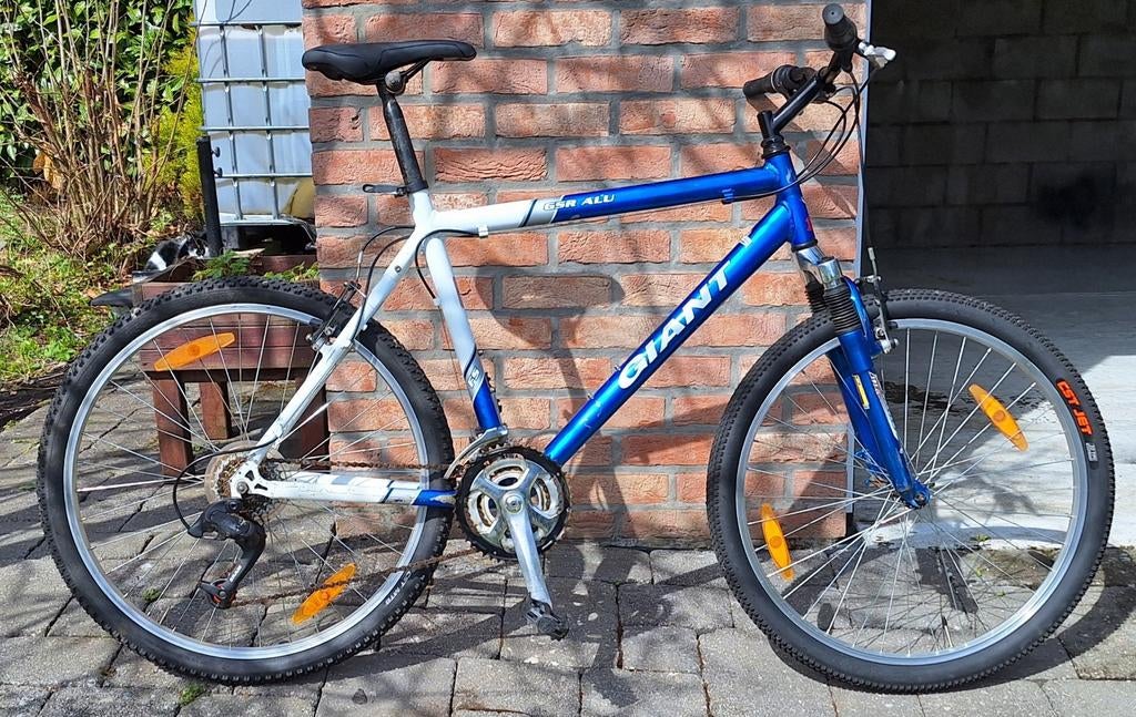 VTT Giant 21 vitesses, Vélos & Vélomoteurs, Enlèvement, Giant