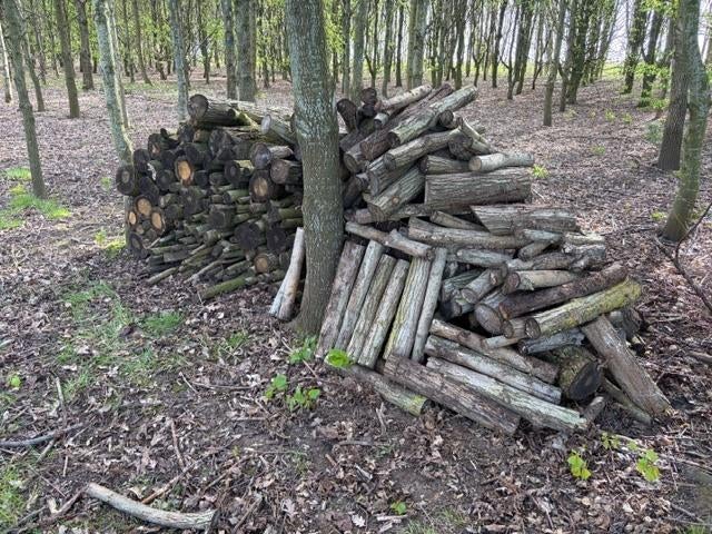 brandhout, Tuin en Terras, Brandhout, 3 tot 6 m³, Ophalen, Blokken