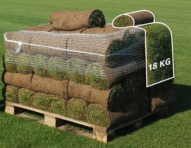 Jardinier, Jardin & Terrasse, Gazon & Gazon artificiel