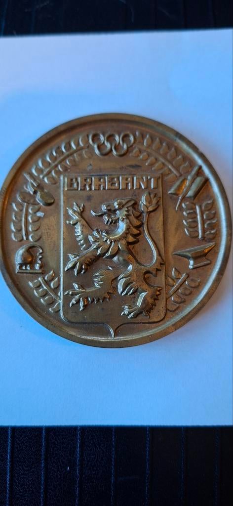 Bronzen medaille Brabant, Postzegels en Munten, Penningen en Medailles, Ophalen of Verzenden