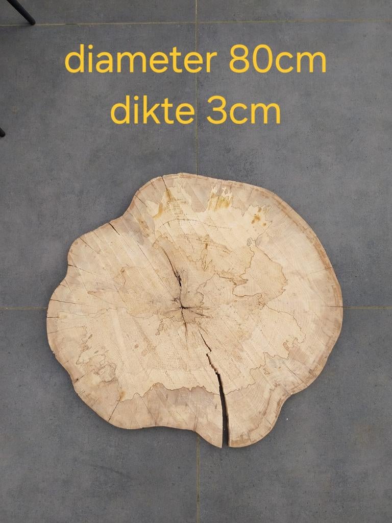 Boomstamtabletten voor boomstamtafel beuk, Doe-het-zelf en Bouw, Hout en Planken, Ophalen, Nieuw, Plank, 50 mm of meer