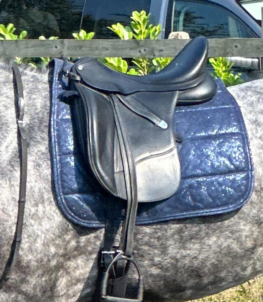 Bates Dressuur Cair, Dieren en Toebehoren, Ophalen, Dressuur