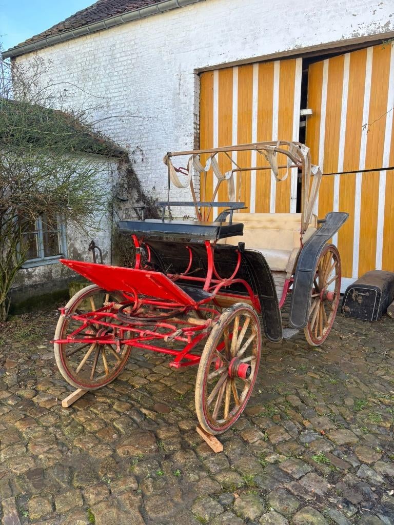 Caleche, Animaux & Accessoires, Utilisé, Autres types, Cheval