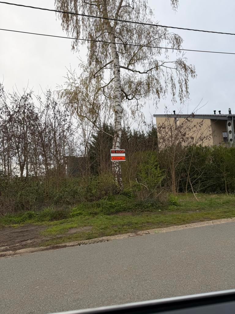 Bouwgrond gezocht beringen paal lummen ham, Immo, Gronden en Bouwgronden