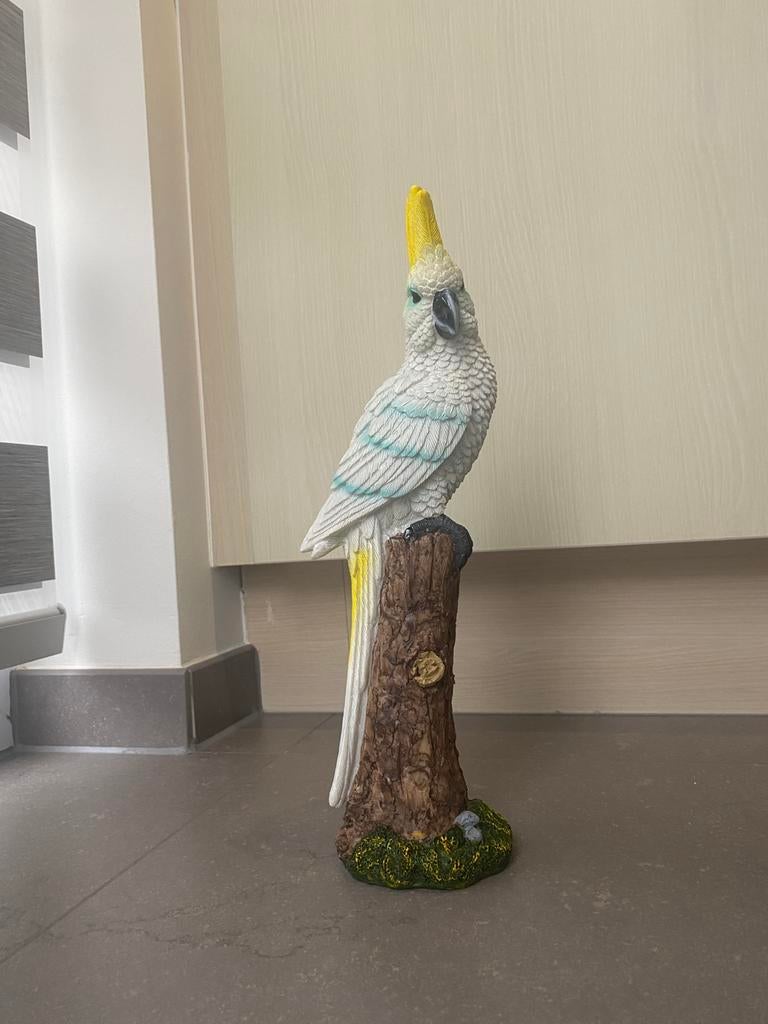 Beeld papegaai, Ophalen, Nieuw, Dier