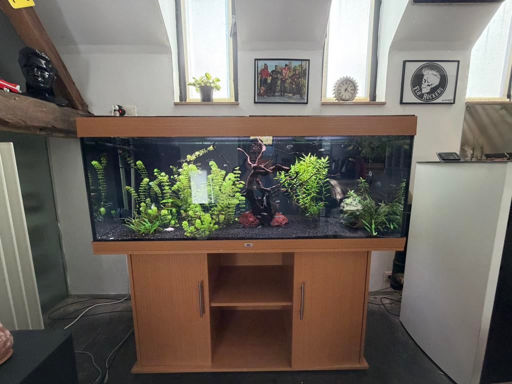 Aquarium 450l complet + accessoires, Enlèvement, Comme neuf
