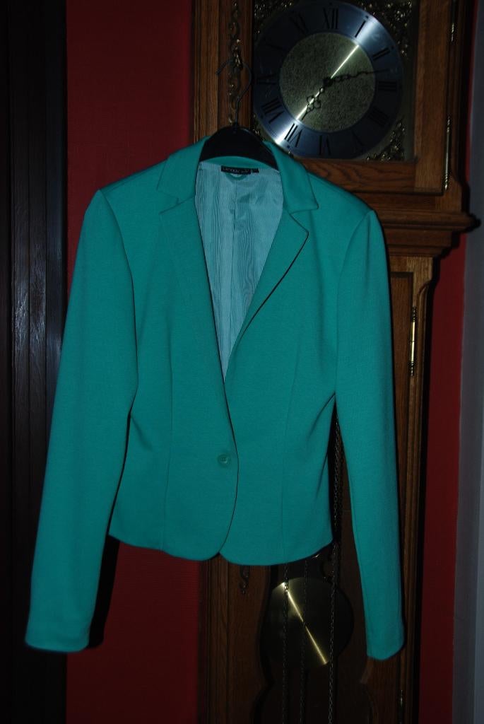 Veste de tailleur, Blazer"jbc"vert T170/176 ou 36 comme NEUF, Vêtements | Femmes, Vestes | Été, Comme neuf, Taille 36 (S), Vert