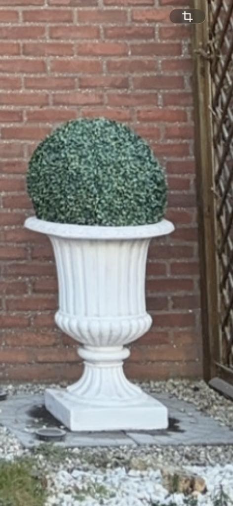 Coupe de jardin avec boule buis artificielle, Enlèvement, Plante fixe