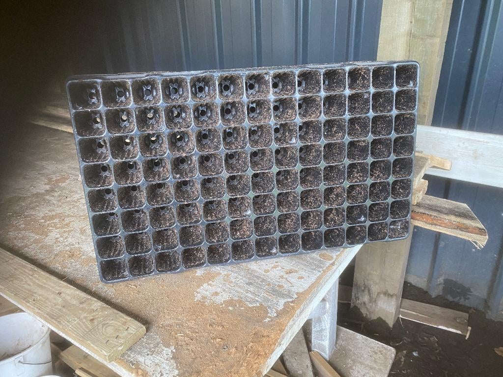 Zaai of stekplaten, Tuin en Terras, Ophalen