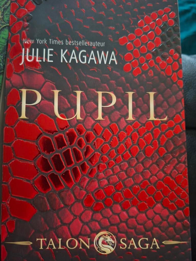 Talon Saga Julie Kagawa, Boeken, Fantasy, Ophalen, Gelezen, Julie kagawa