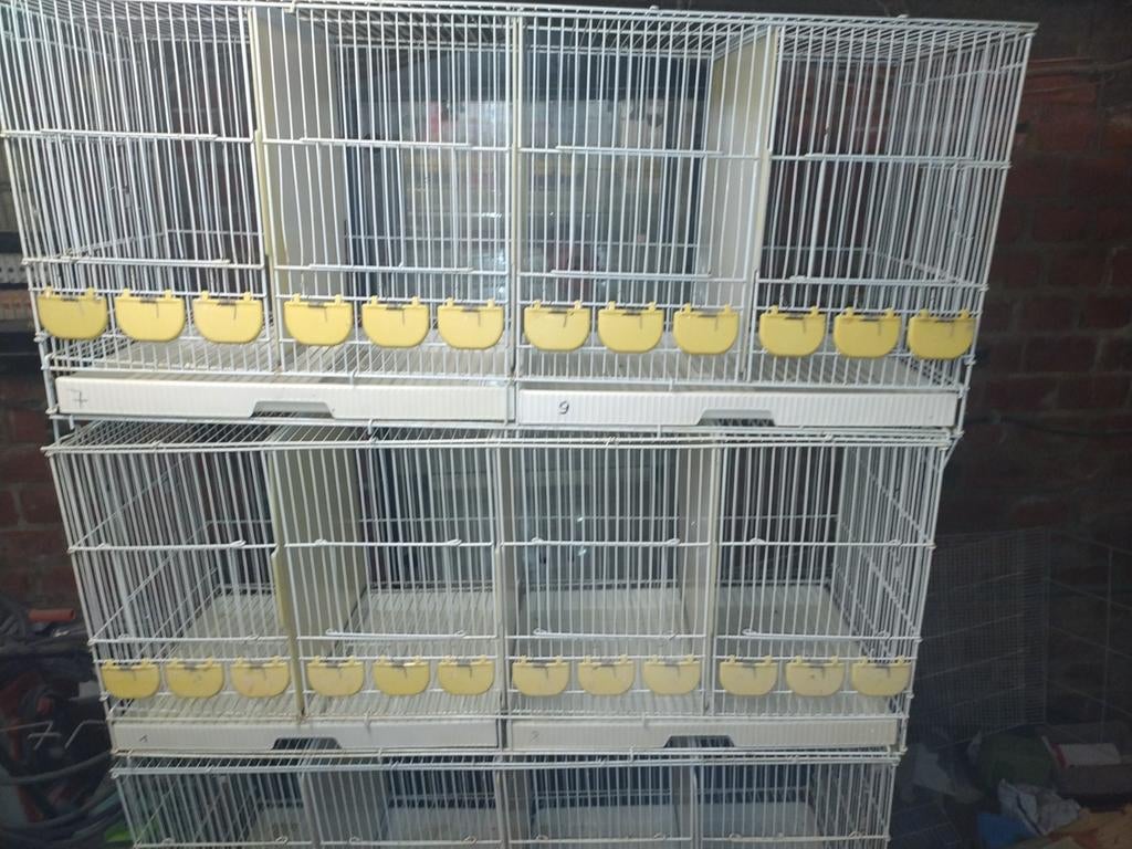 Draadkooien, Dieren en Toebehoren, Ophalen