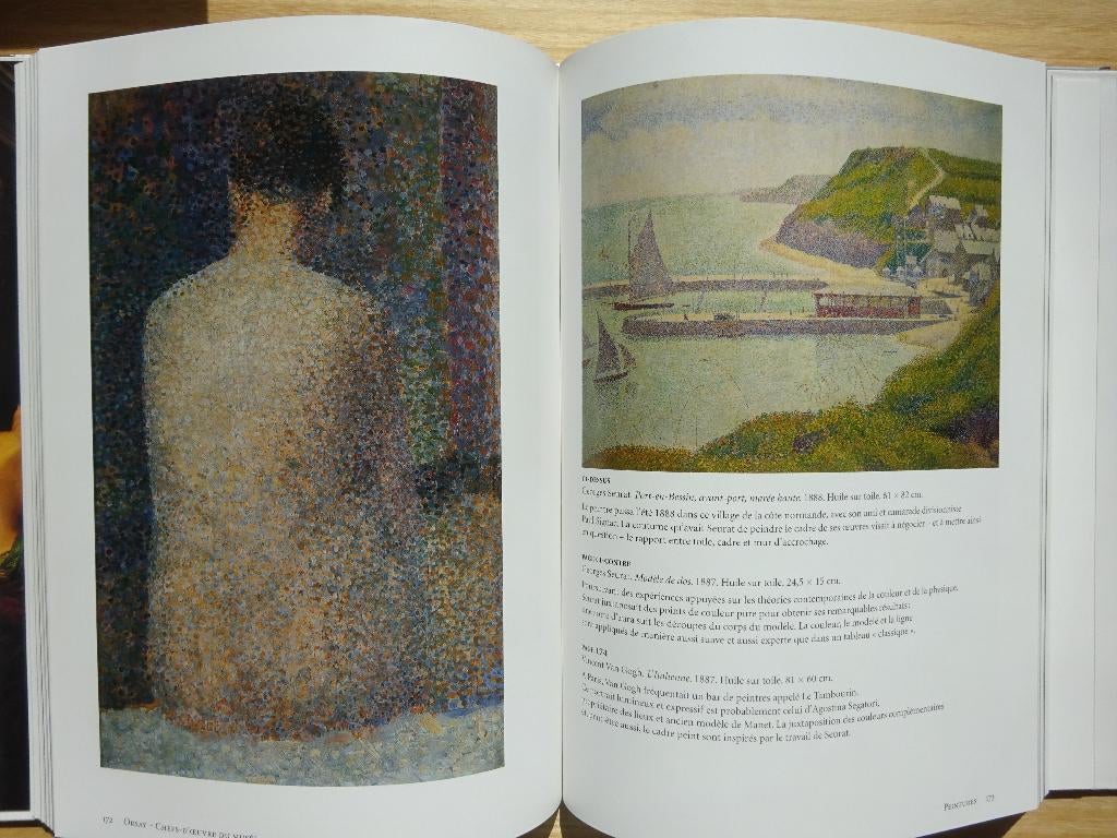 Musée d'Orsay, chefs d'oeuvre, 2003- Succès, du Livre, Ophalen of Verzenden, Zo goed als nieuw, Schilder- en Tekenkunst