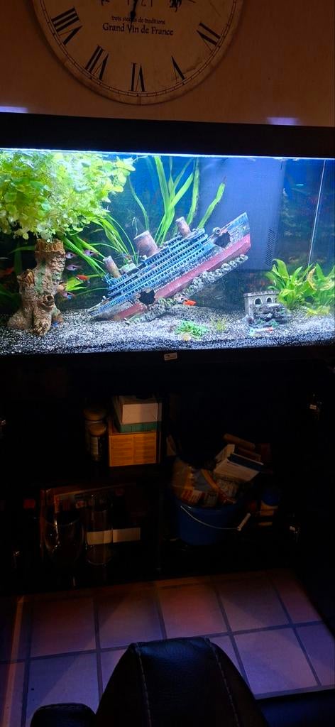 Aquarium Aqualantis met kast, Ophalen, Zo goed als nieuw, Overige typen