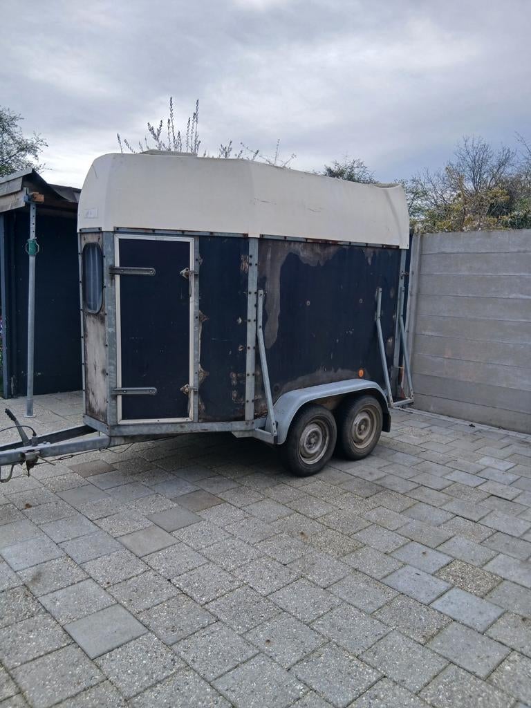 Te koop paardetrailer met kenteken, Enlèvement ou Envoi, Bois