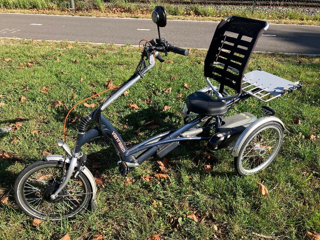 Easy Rider Van Raam elektrische driewielfiets, Fietsen en Brommers, Ophalen, Zo goed als nieuw, Van Raam