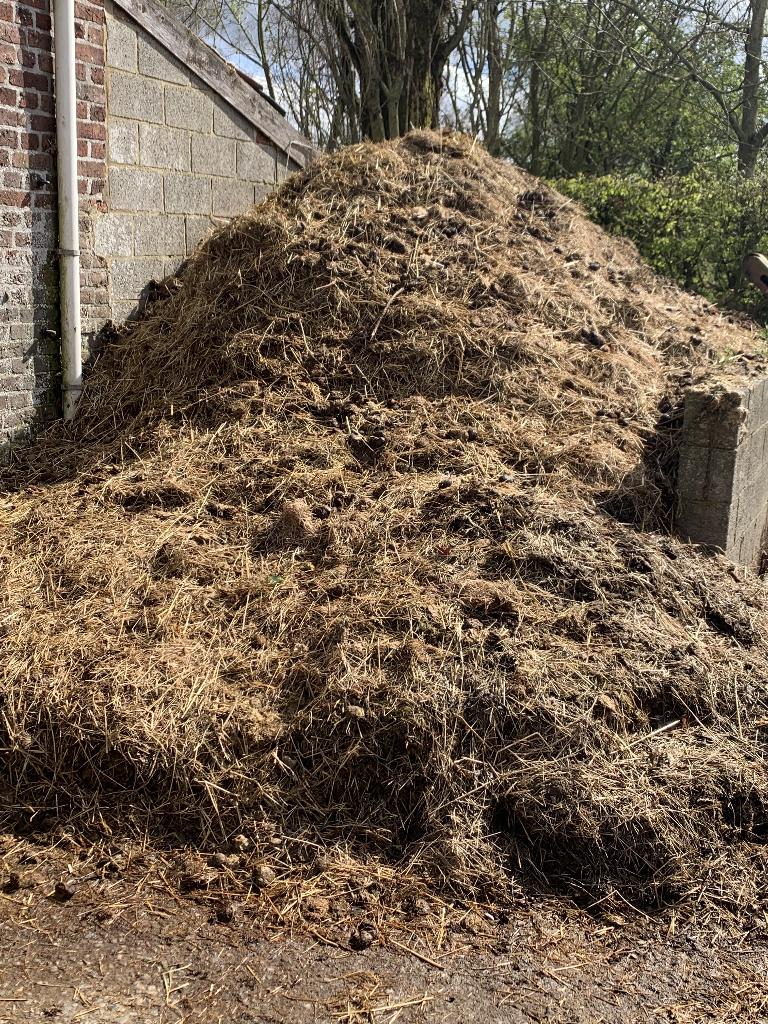 Fumier de chevaux a donner, Jardin & Terrasse, Enlèvement, Fumier