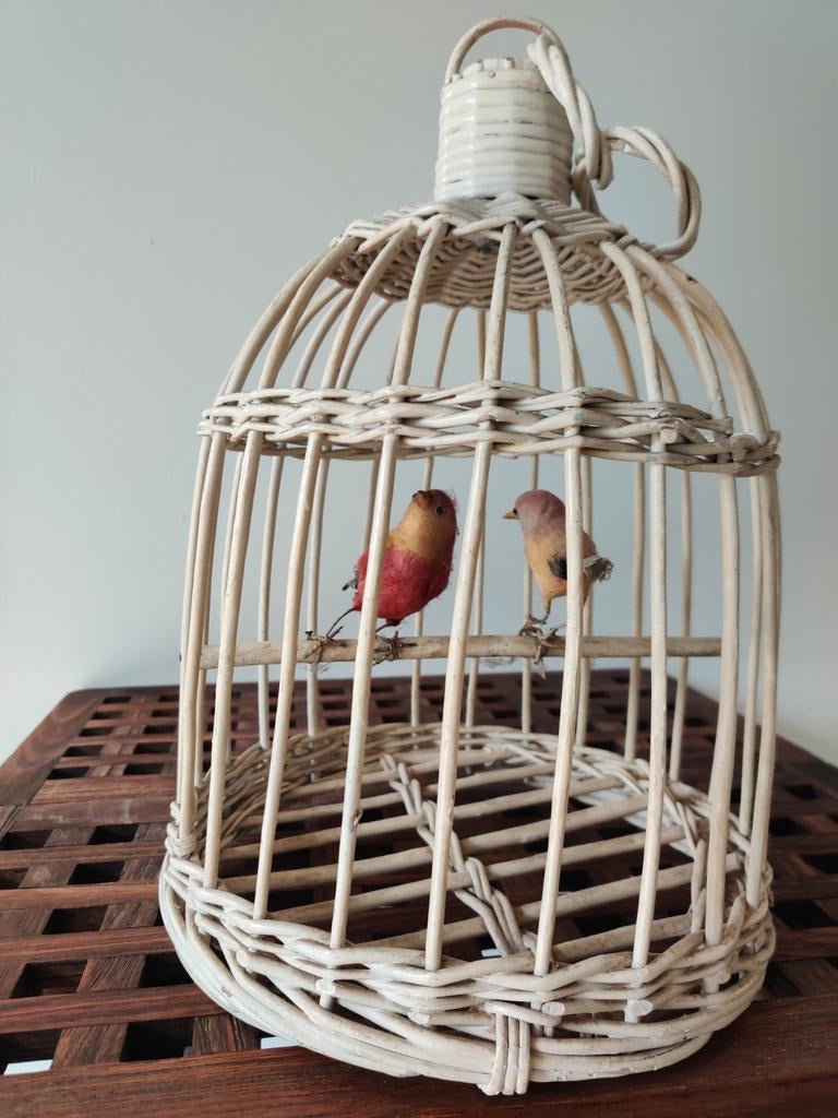 Cage à oiseaux décorative avec 2 oiseaux, Maison & Meubles, Accessoires pour la Maison | Cloches, Enlèvement
