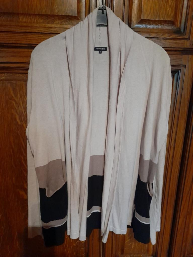 Cardigan met bijhorend truitje Caroline Biss 42/44, Ophalen of Verzenden, Zo goed als nieuw