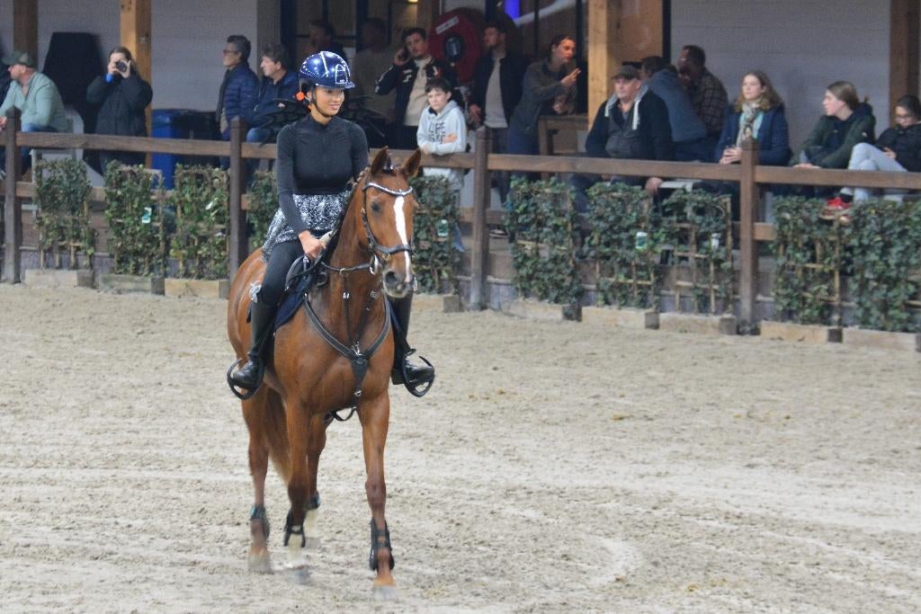 halve stal / verzorger gezocht voor Spaanse merrie, B, 11 ans ou plus, 160 à 165 cm, Cheval de récréation