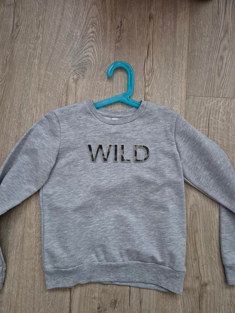 Sweater grijs 122, Kinderen en Baby's, Kinderkleding | Maat 122, Ophalen