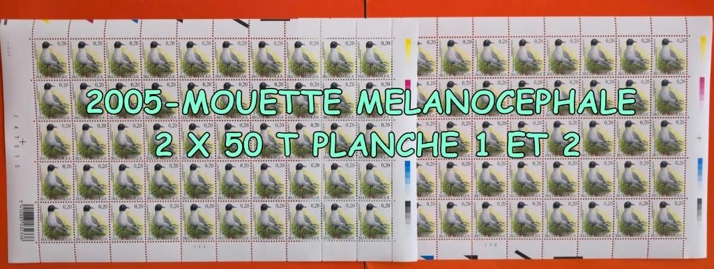 2005-    100 tim*MOUETTE MELANOCEPHALE P 1 ET P 2, Envoi