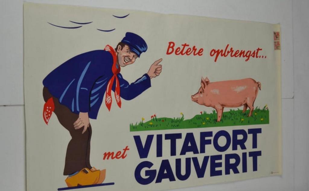 Affiche publicitaire litho pour Vitafort Gauverit, Collections, Enlèvement ou Envoi, Comme neuf, Panneau publicitaire