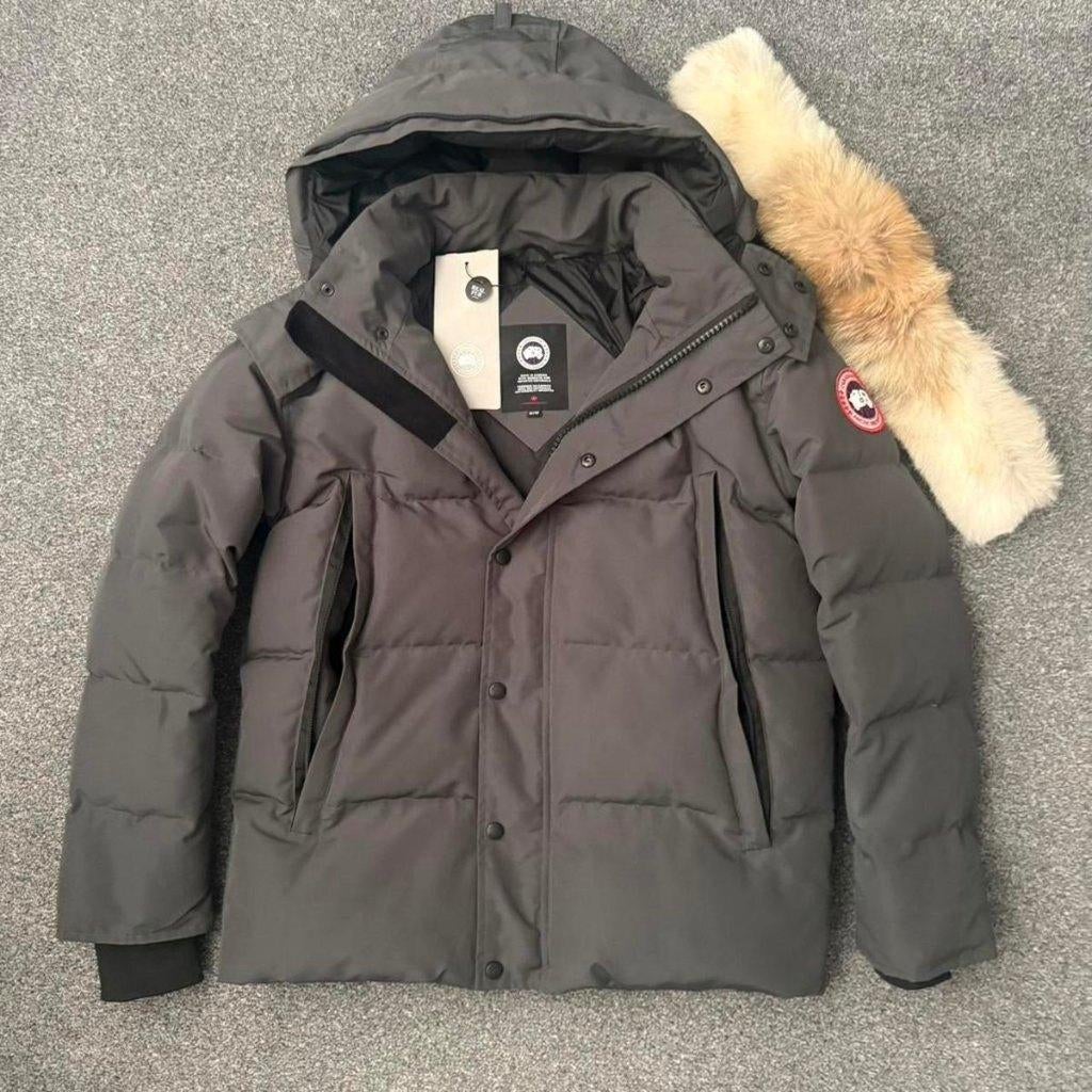 Canada Goose, Nieuw, Grijs, Maat 46 (S) of kleiner, Canada goose