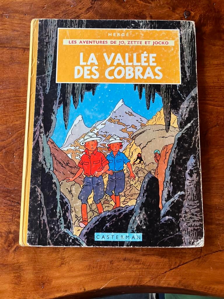 La vallée des Cobras 1963, Livres, BD, Utilisé, Une BD, Enlèvement ou Envoi