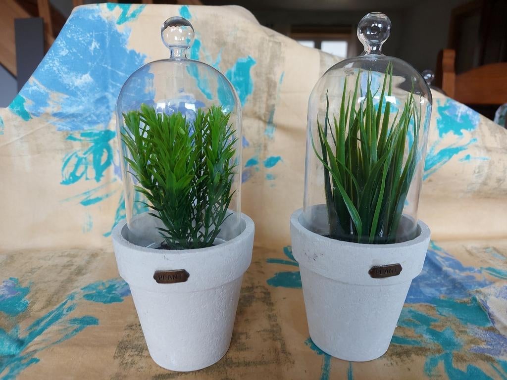 Plantes artificielles, Enlèvement ou Envoi, Neuf