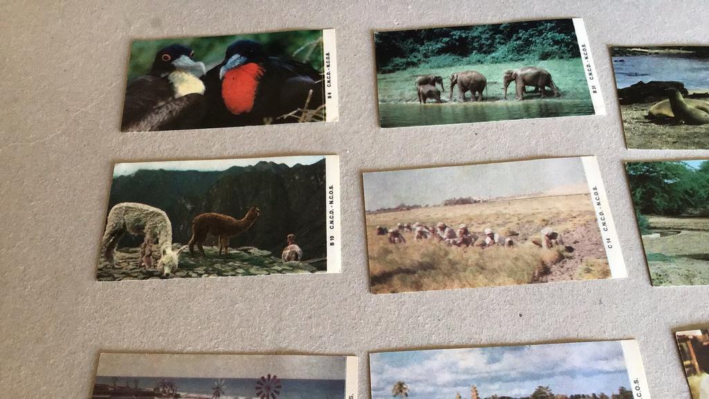 Epreuves chromo Côte d'Or (b3b), Enlèvement ou Envoi, Comme neuf