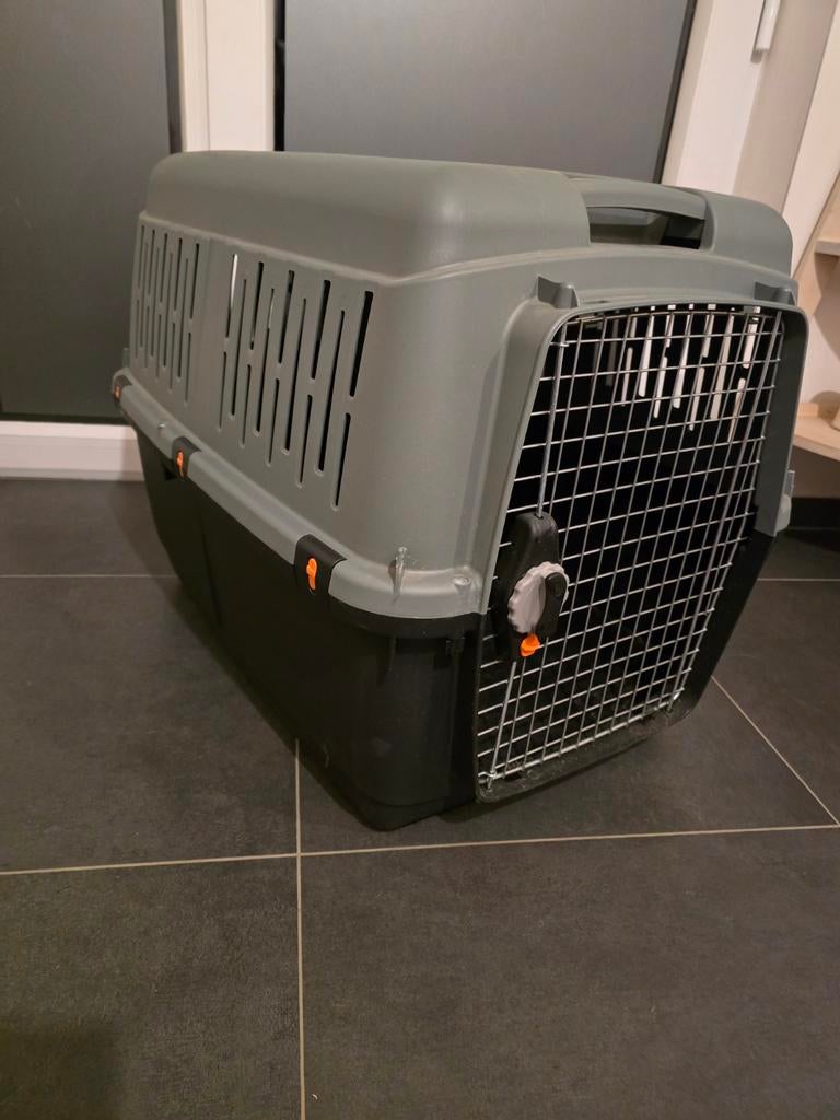 Cage de transport, Animaux & Accessoires, Enlèvement