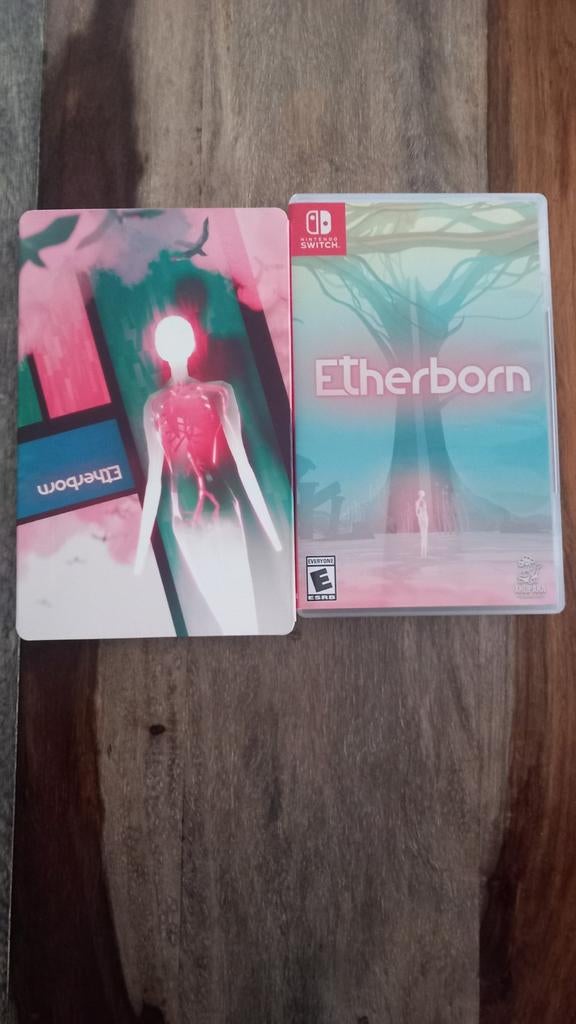 Etherborn Nintendo Switch fourreau poster iam8bit version, Enlèvement ou Envoi