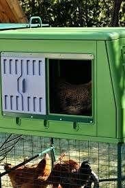 de ei-chalet kippenhok kunststof, Enlèvement