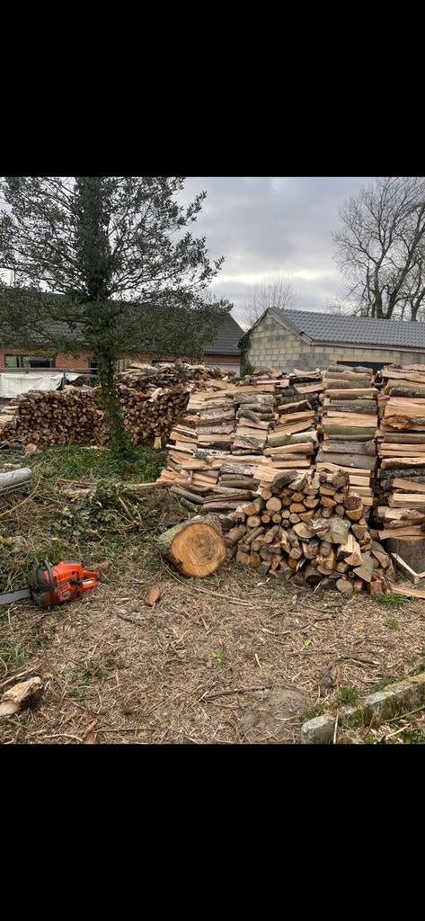 Bois de chauffage sec, 6 m³ ou plus, Enlèvement ou Envoi, Hêtre, Bûches