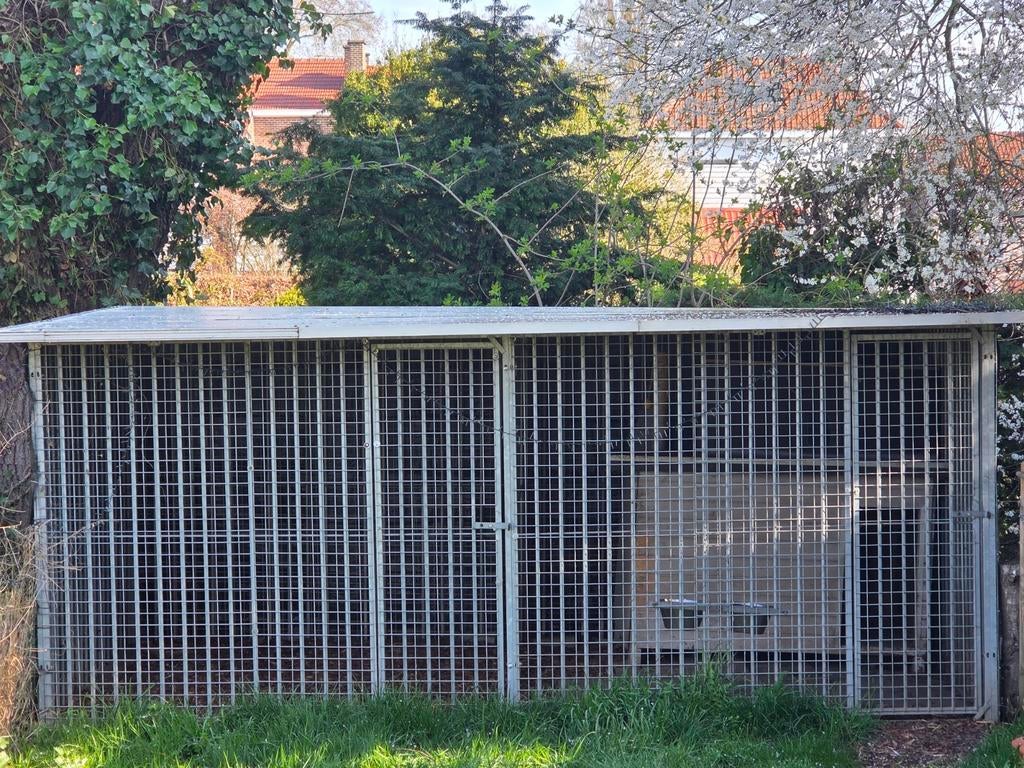 Kennel 4m breedt x 2m diep op 2m hoog kan opgesplitst worden, Dieren en Toebehoren, Ophalen, Hondenhok