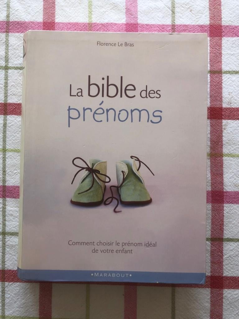 Livre La bible des prénoms, Livres, Enlèvement, Comme neuf