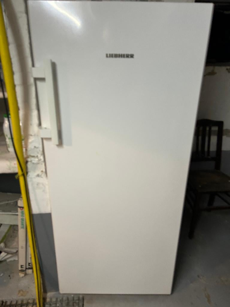 DIEPVRIEZER LIEBHERR BLUE EFFICIENCY, Elektronische apparatuur, Vriezers en Diepvrieskisten, Zo goed als nieuw, 140 tot 160 cm