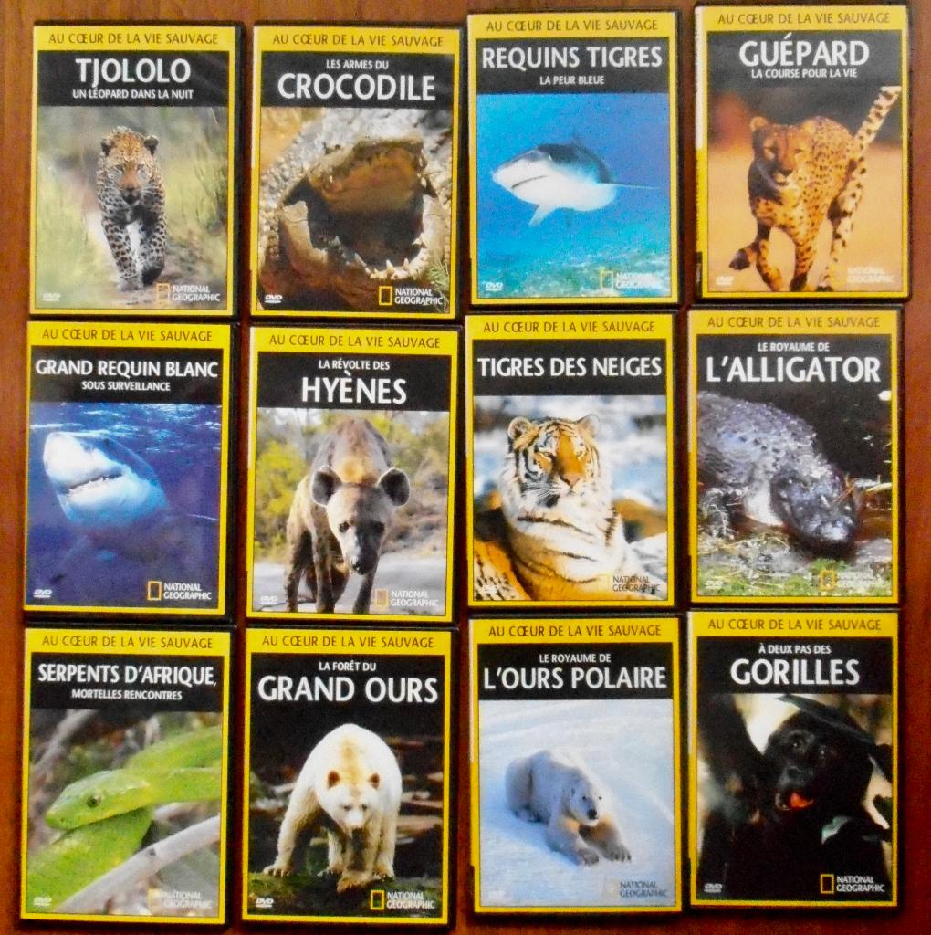 DVD animaliers, Cd's en Dvd's, Dvd's | Documentaire en Educatief, Alle leeftijden, Ophalen, Zo goed als nieuw, Natuur