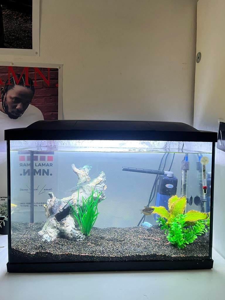 Aquarium warmwater+ vissen, Ophalen, Nieuw