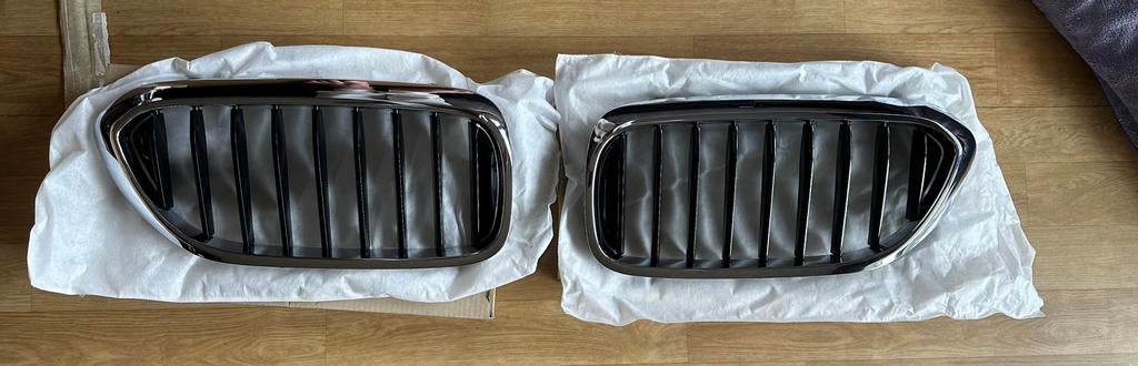 Calandre Bmw Série 5, Auto diversen, Hondenrekken, Ophalen, Nieuw