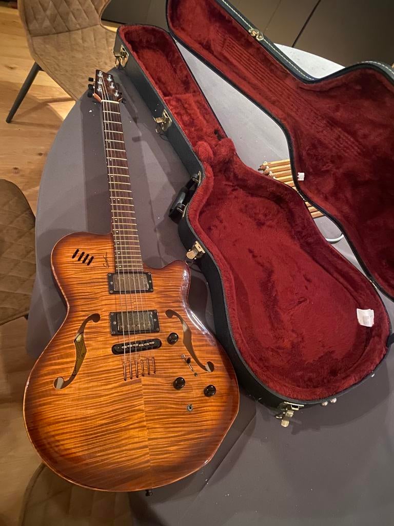 Unieke Godin hollowbody, Ophalen, Zo goed als nieuw